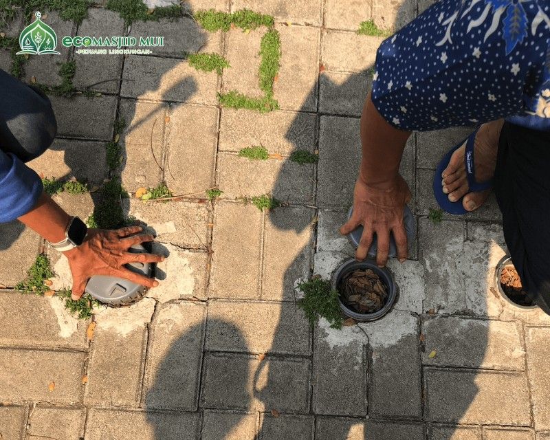 حُفَر البيوبوري